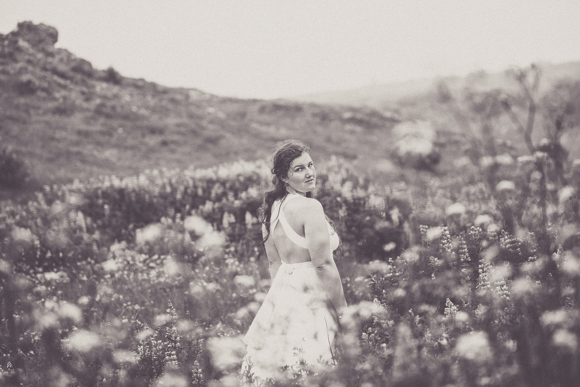 Export x3 5D4 9135 Victoria @ Reykanesviti